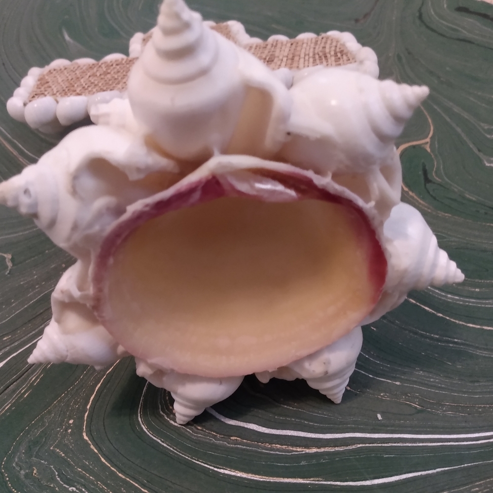 Handmade Seashell Cross - Picture 4 of 6